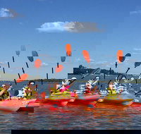 2-Hour Guided Kayak Nature Tour of Hilton Head - Tourism House