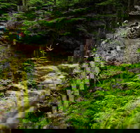 Sea Kayak and Mountain Bike Adventure near Olympic National Park - Tourism House