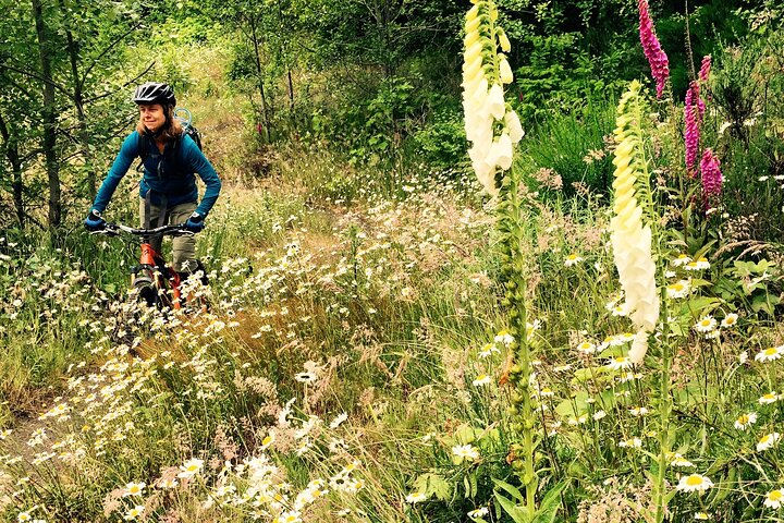 Sea Kayak And Mountain Bike Adventure Near Olympic National Park - thumb 1