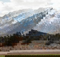 Mountain View E-Bike Experience - Tourism House