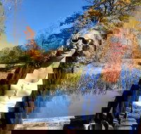 Scenic Guided Motorcycle Tours by MotoPlaN8 Handlebars - Tourism House