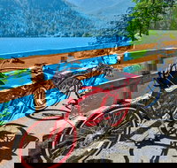 Electric Bike Rentals - Tourism House