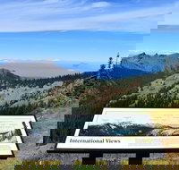 Hurricane Ridge Guided Tour in Olympic National Park - Tourism House