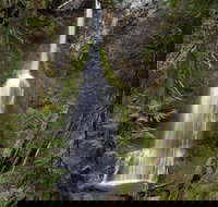 Lake Crescent and Marymere Falls Guided Tour in Olympic National Park - Tourism House