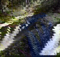 Sol Duc Falls Guided Tour in Olympic National Park - Tourism House