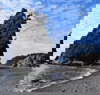 Hoh Rain Forest and Rialto Beach Guided Tour in Olympic National Park - Tourism House