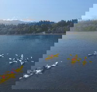 Half-Day Sea Kayaking Trip Near Olympic National Park - Tourism House