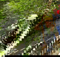 New River Gorge Zip Line Canopy Tour - Tourism House