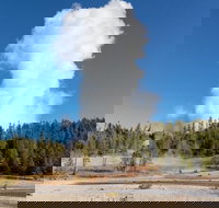 Full-Day Private Safari of Yellowstone - Tourism House