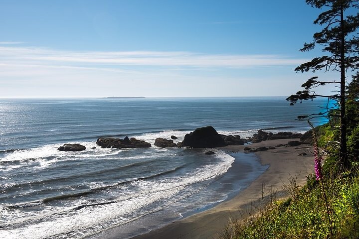 Private Olympic National Park Tour From Seattle - thumb 0