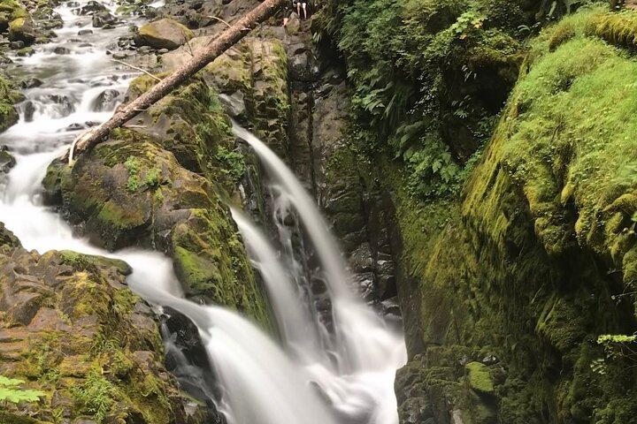 Private Olympic National Park Tour From Seattle - thumb 2