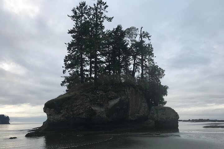 Private Olympic National Park Tour From Seattle - thumb 3