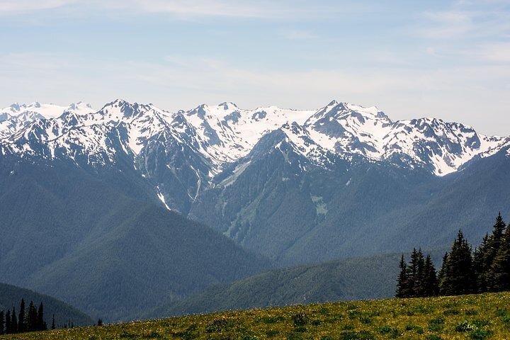 Private Olympic National Park Tour From Seattle - thumb 4