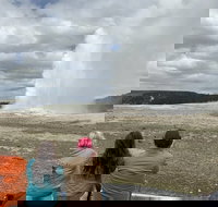 Yellowstone Open Air Tours by Cody Wyoming Adventures - Tourism House