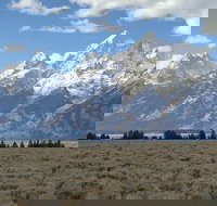 Grand Loop Yellowstone Wildlife and Photo Tour - Tourism House