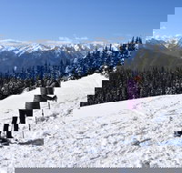 Hurricane Ridge Guided Snowshoe Tour in Olympic National Park - Tourism House