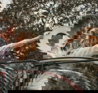 Private Historic Savannah Tour in a Vintage Citron - Tourism House