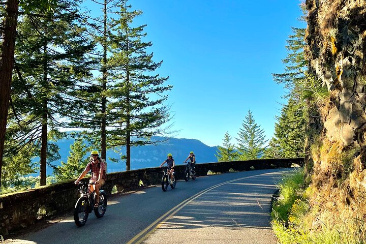 E-Bike Rental And Self Guided Tour Of Multnomah Falls And The Columbia Gorge - thumb 5