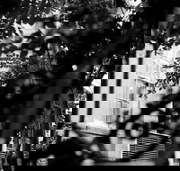 Genteel and Bard's Savannah Dark History and Ghost Walking Tour - Tourism House