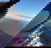 Platinum Package - Helicopter Tour with Dinner at Ruth's Chris or Capital Grille - Tourism House