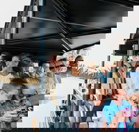 Grand Canyon Landmarks Tour by Airplane with Optional Hummer Tour - Tourism House