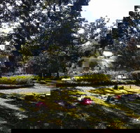 Yoga in Forsyth Park - Tourism House