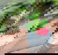 Small-Group Cocktail Tour in Denver - Tourism House