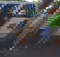 Grand Canyon Sightseeing Tour from Flagstaff - Tourism House