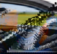 Historical Baltimore Self-Driving Sightseeing Audio Tour - Tourism House