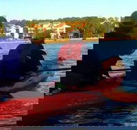 Dolphins and Wildlife Kayak Experience from Gulf Shores - Tourism House